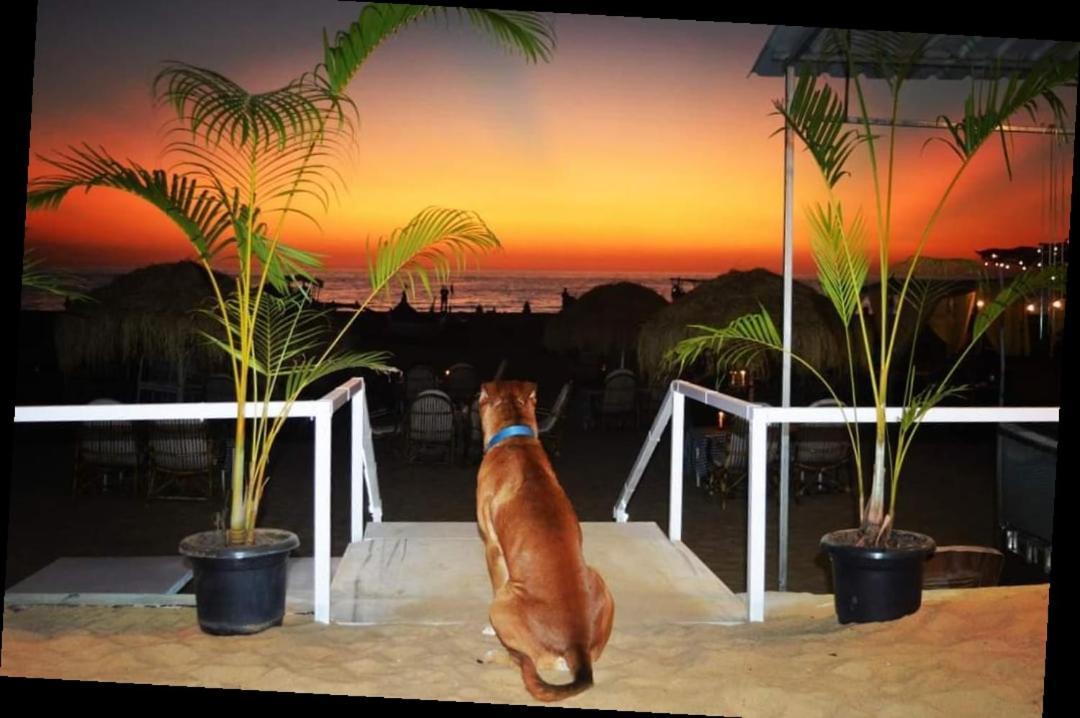 Baywatch Beach Resort Patnem Canacona Buitenkant foto